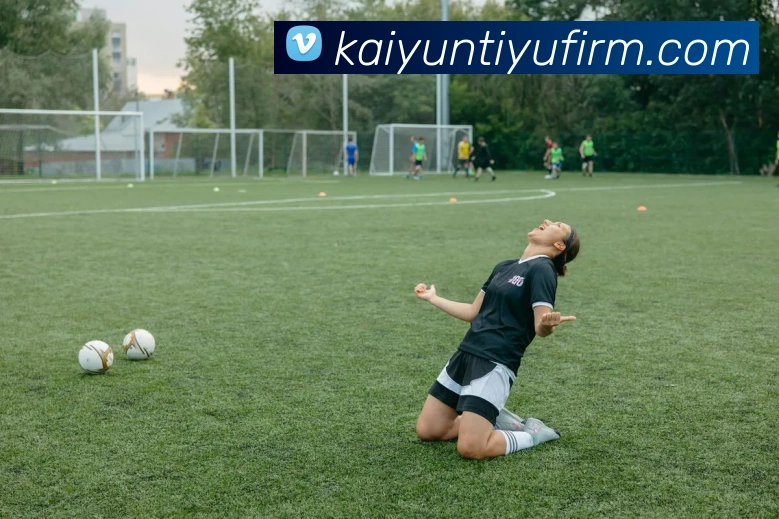 多媒体互动体验