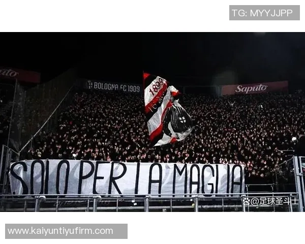 尼斯俱乐部发声谴责球迷暴力行为呼吁维护体育精神与安全